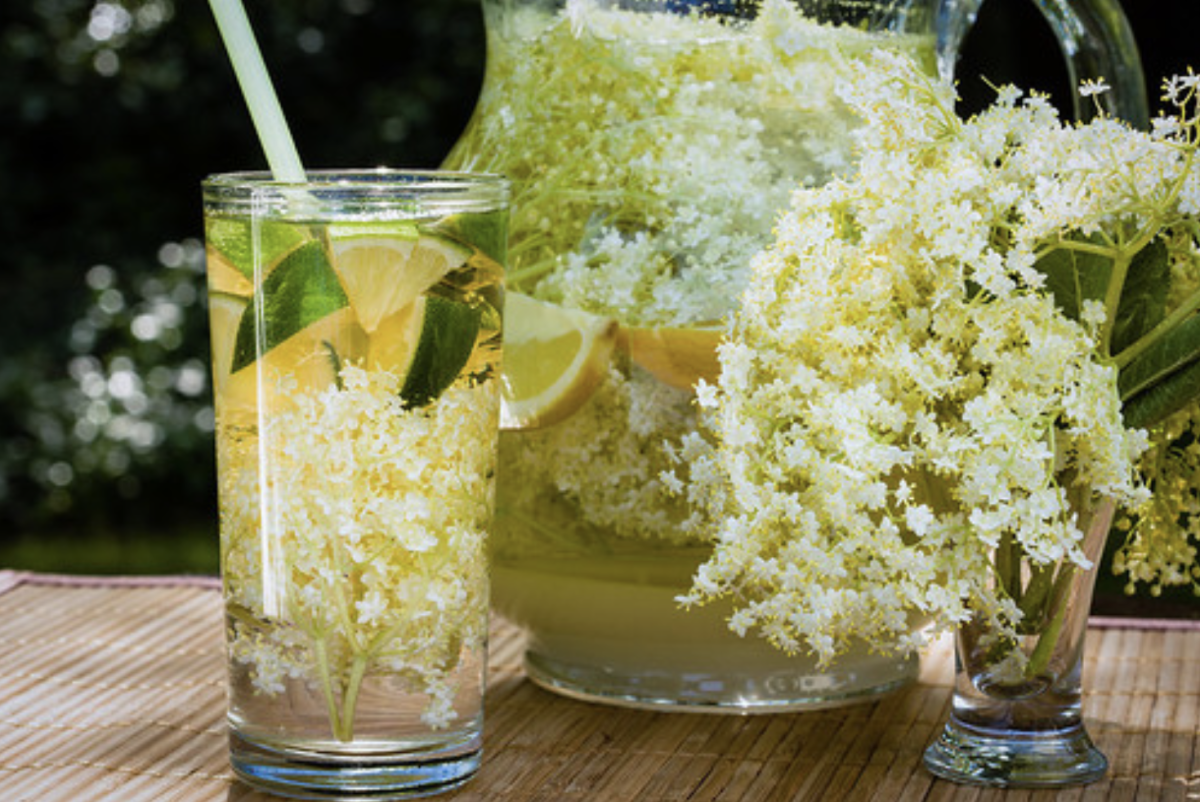 Bodzaszörp Recept: Az Igazi Nyári Frissítő, Amely Mindenkinek Felüdülést Hozt