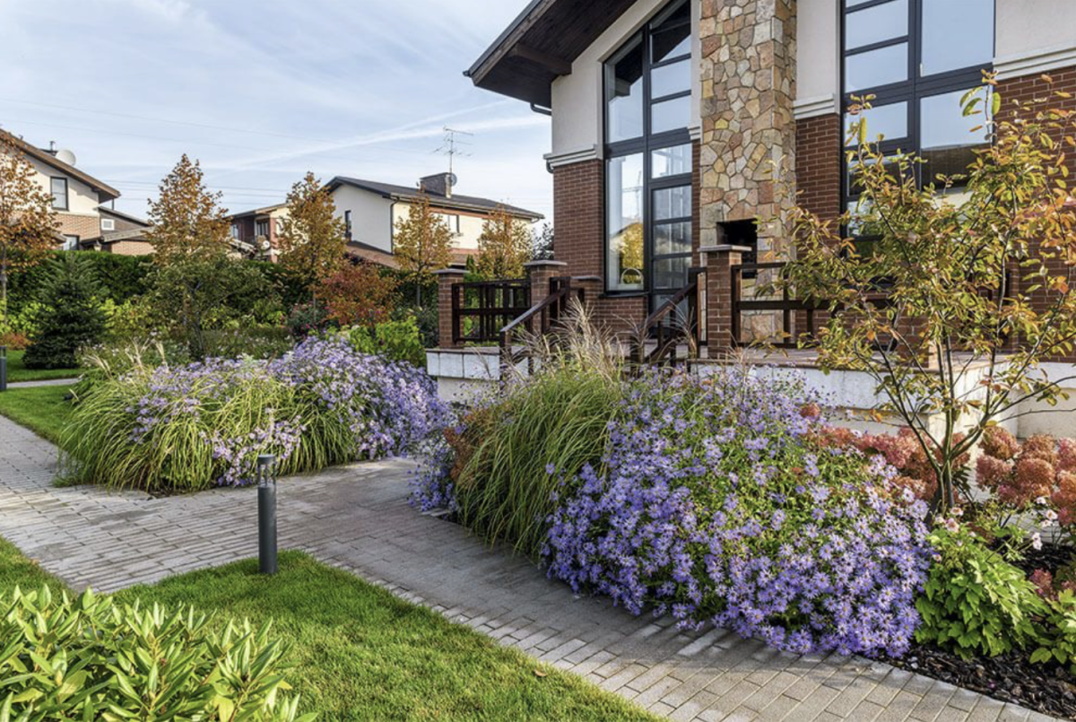 virágok és gyógynövények, hogy egy édenkertet hozzon létre