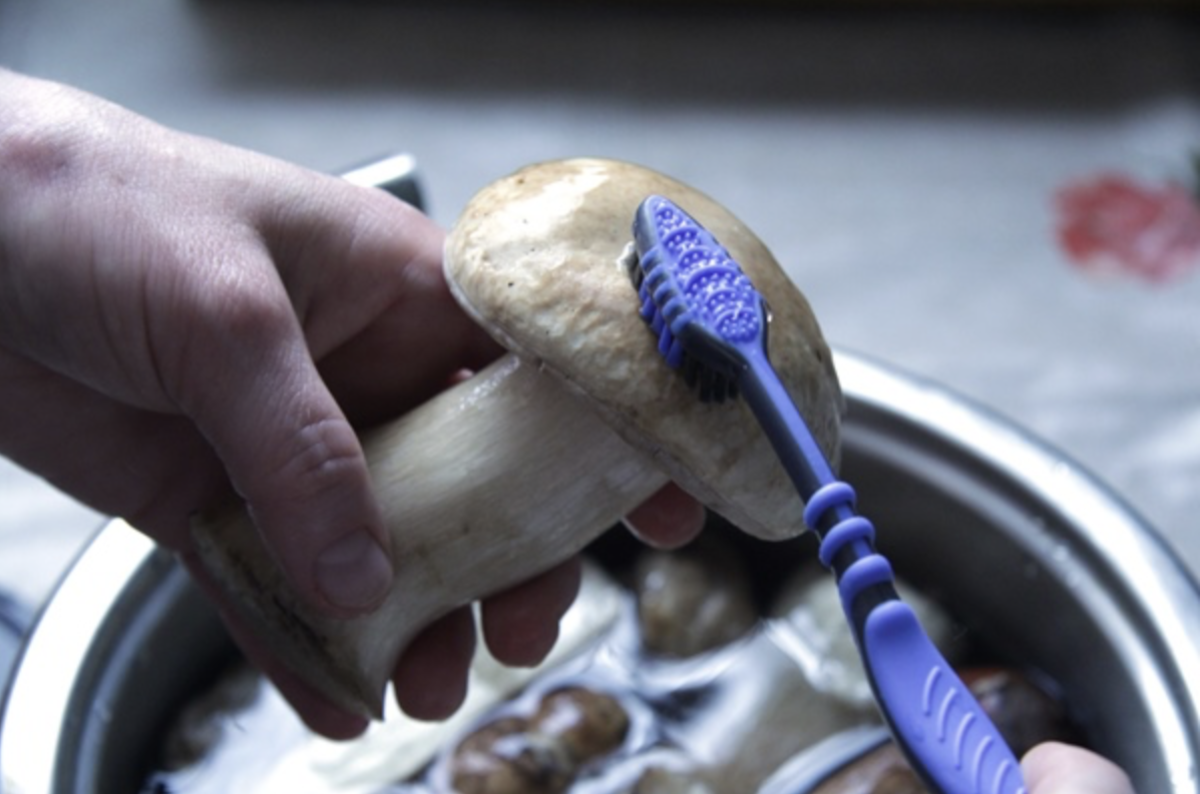 Laskagomba tisztítása: Hogyan Tisztítsuk Meg Tökéletesen és Hatékonyan a Laskagombát? 5 Laskagomba tisztítása: Hogyan Tisztítsuk Meg Tökéletesen és Hatékonyan a Laskagombát?