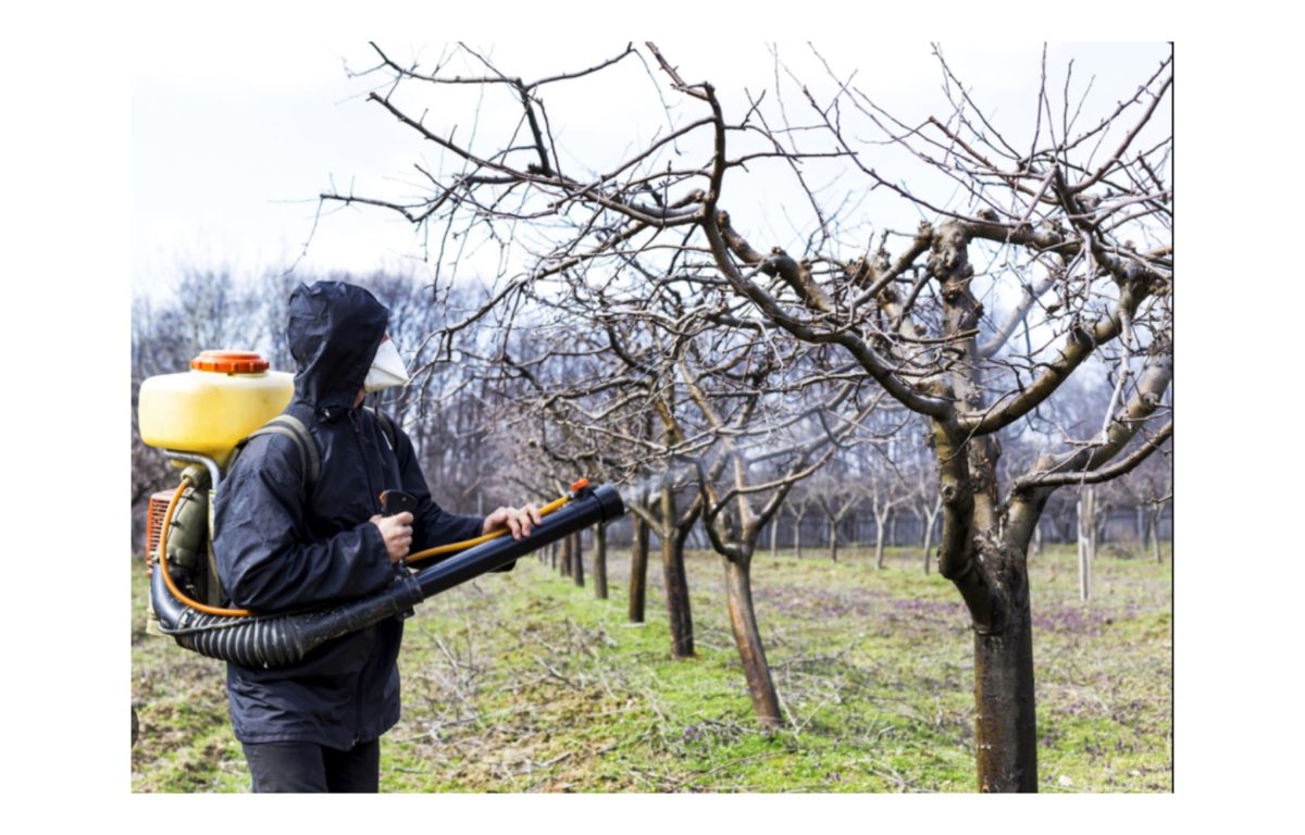 lemosó permetezés - Featured