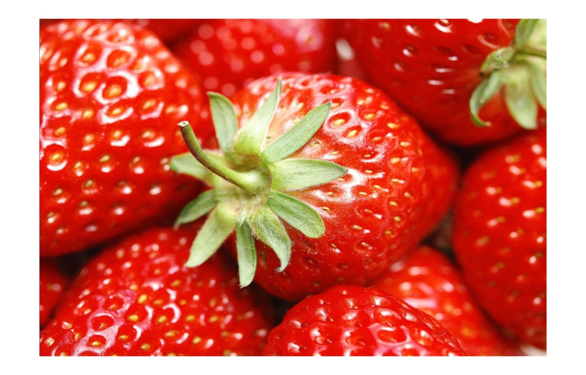 clery eper - Featured