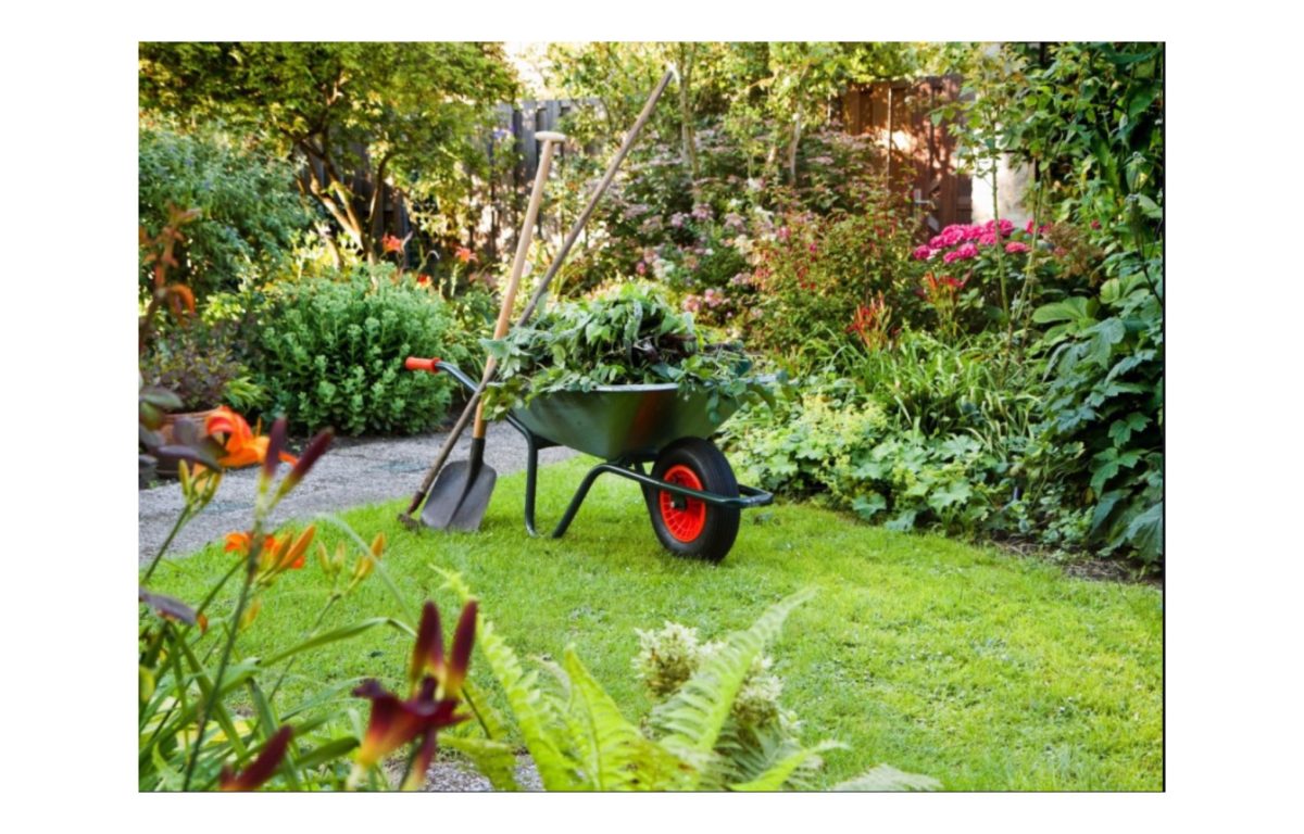 kertészet - Featured