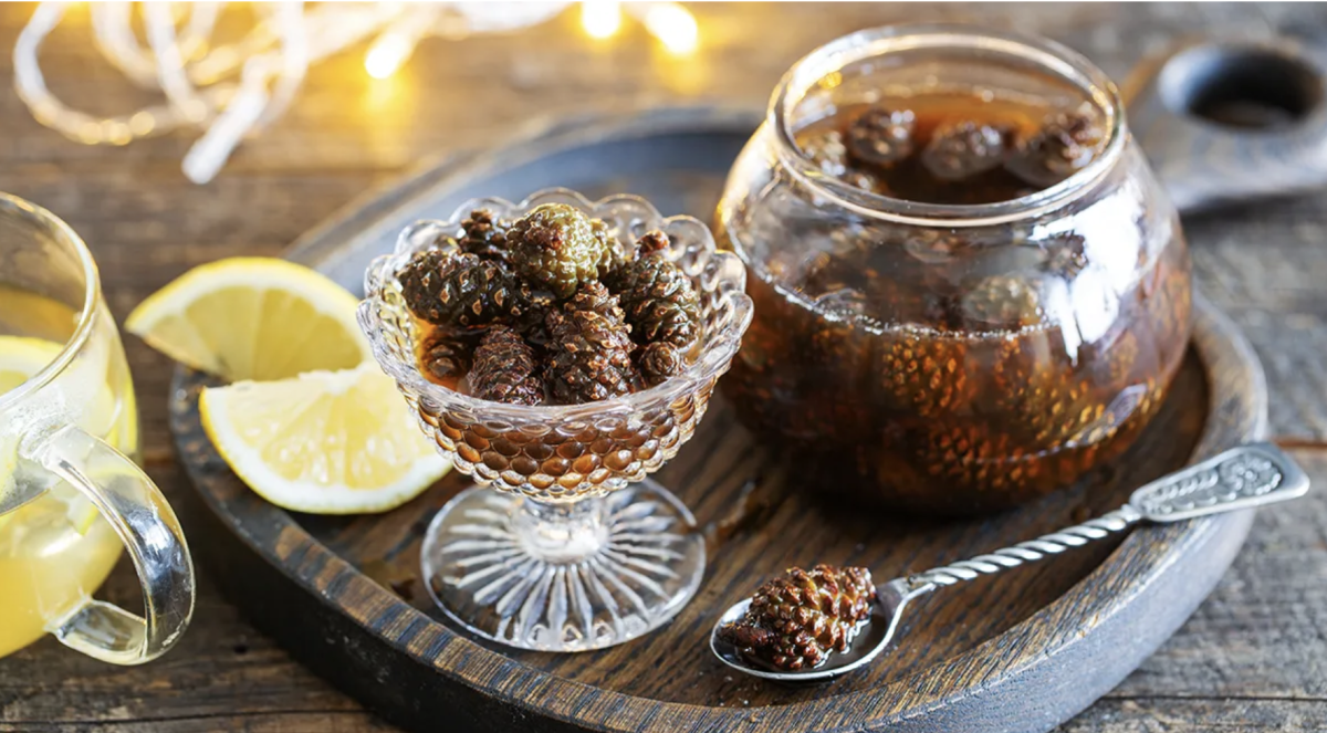 fenyőrügy szirup készítése - Featured