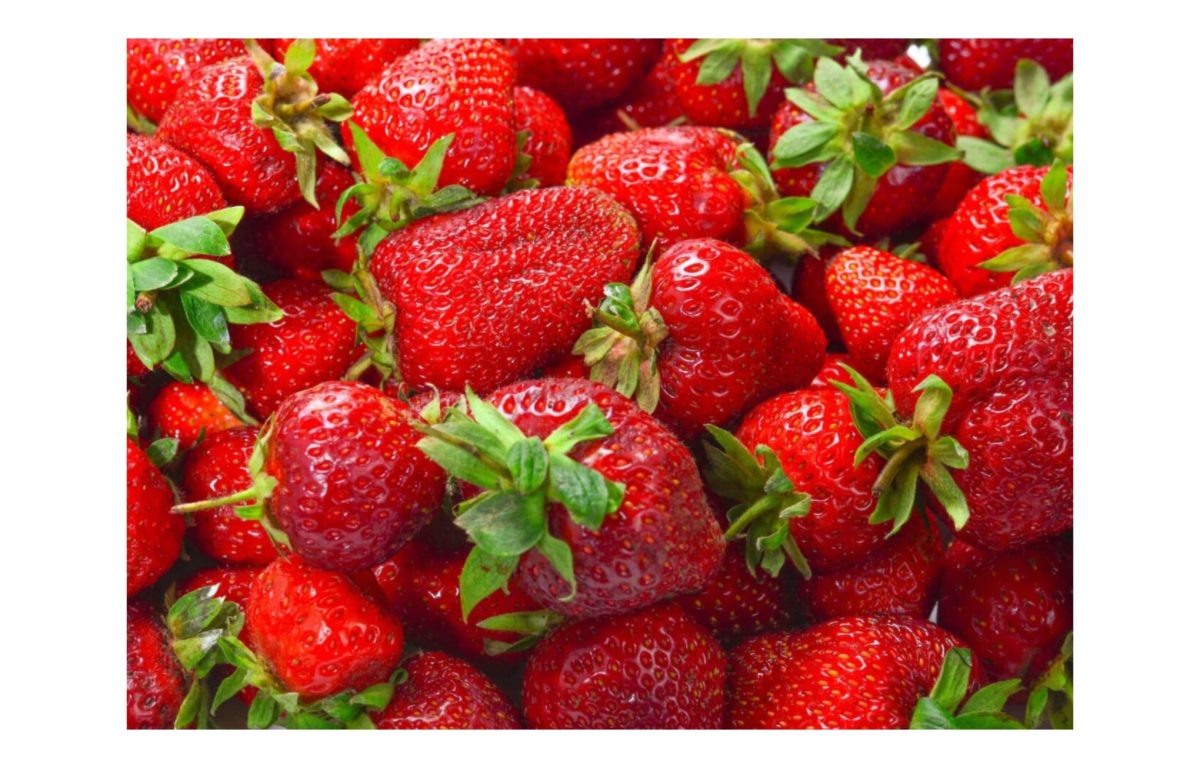 folytontermő eper - Featured