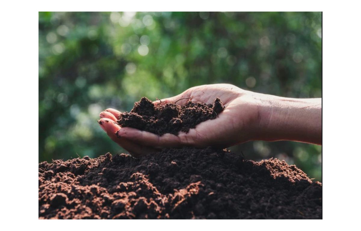 komposzt vásárlás - Featured