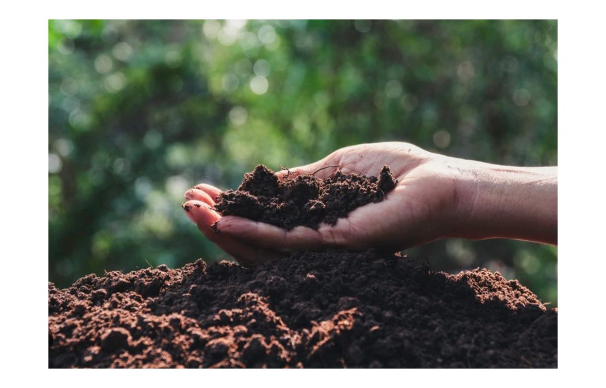 komposzt vásárlás - Featured