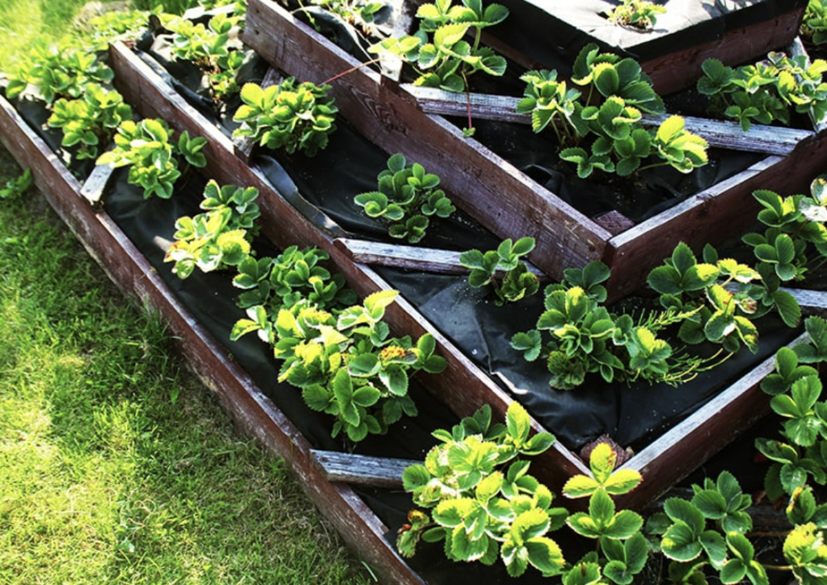 magaságyás házilag - Featured