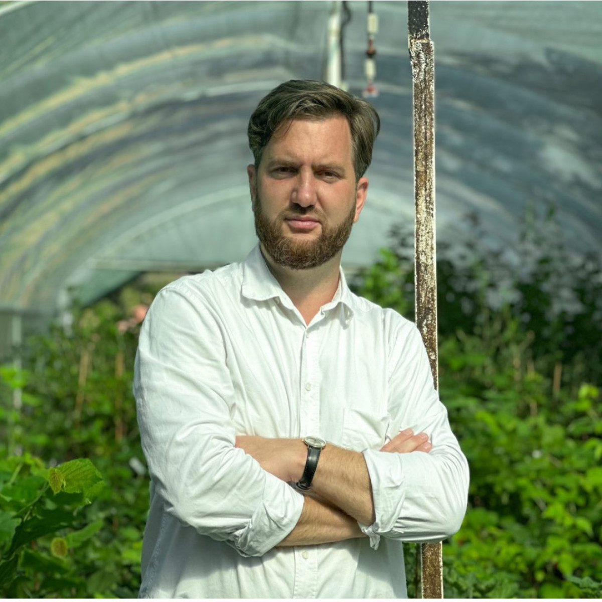 megyeri szabolcs - Featured