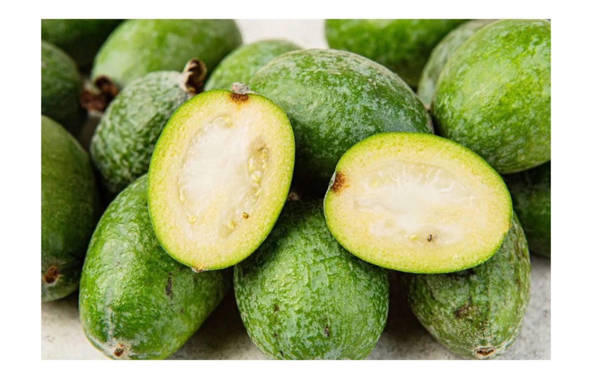 mirtuszdió - Featured