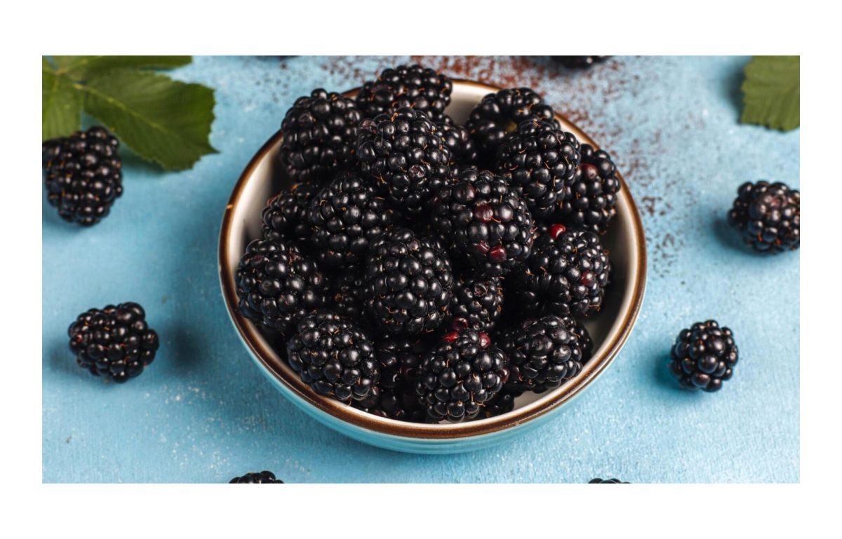 szeder ültetése - Featured