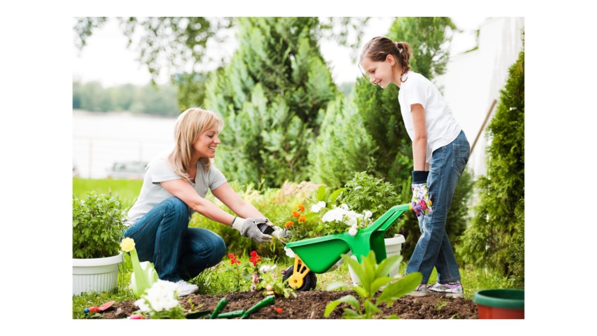 tavaszi kerti munkák - Featured