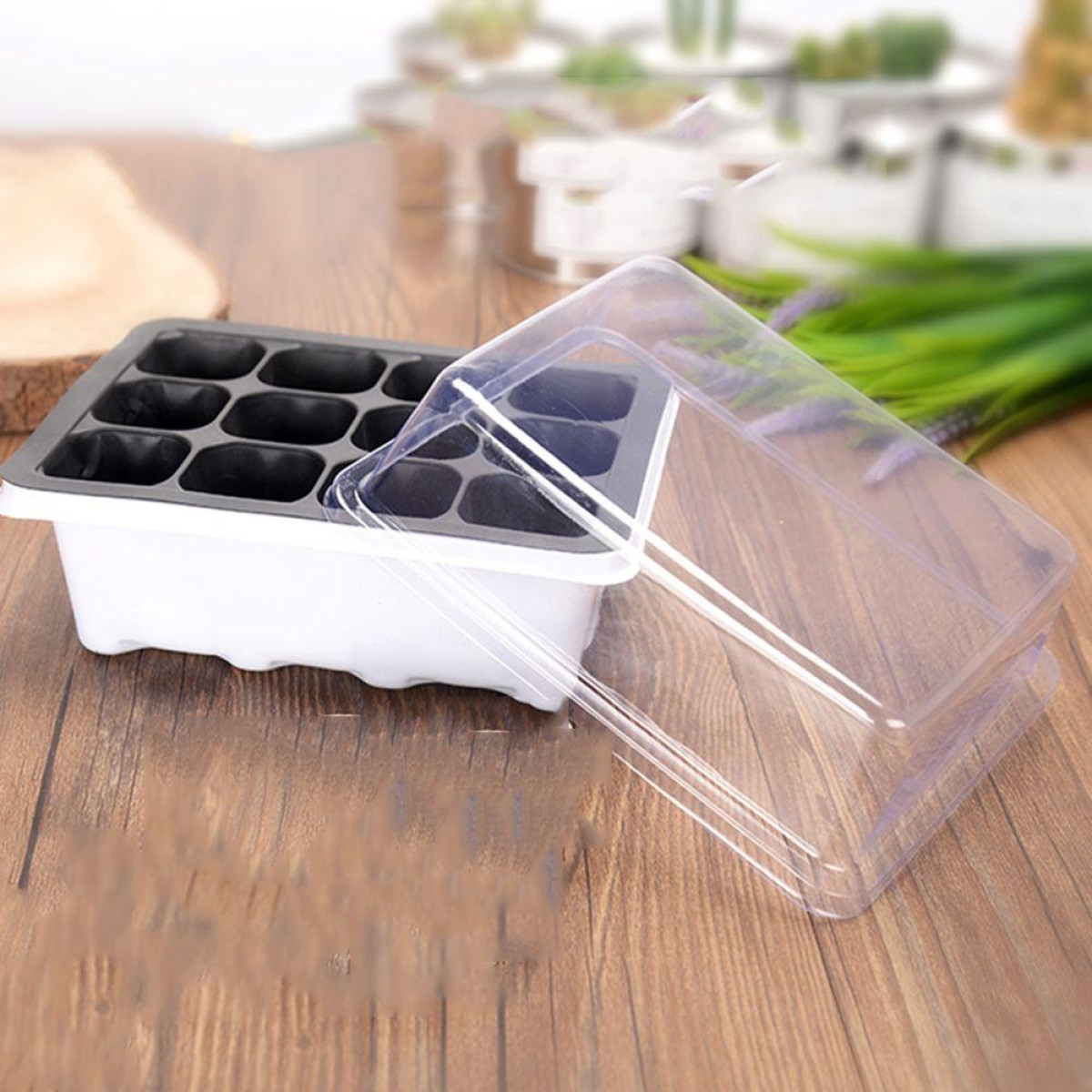 palántanevelő - Featured