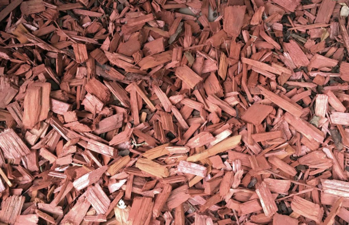 fenyőmulcs - Featured