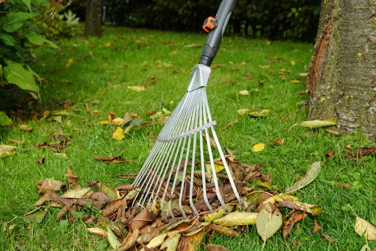 A gereblye összegyűjtötte a leveleket a zöld gyepen.