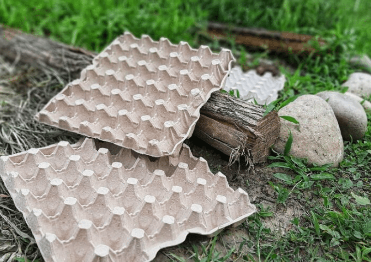 Ne dobja ki a tojásos dobozokat – használja őket inkább így. Egy titok, amit egy tapasztalt háziasszony árult el.