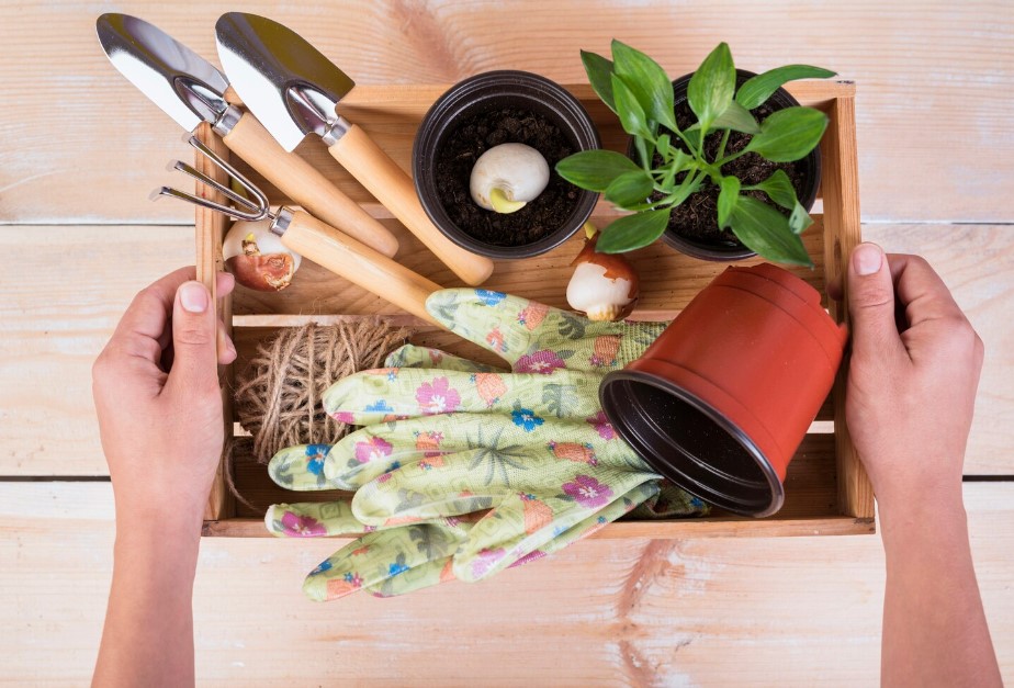 12 tipp, hogy a kerted mindig virágzó és egészséges legyen 3 12 tipp, hogy a kerted mindig virágzó és egészséges legyen