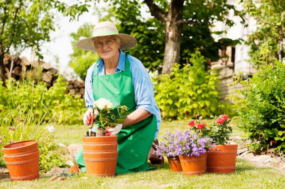 Hogyan varázsolhatunk gyorsan színes és egészséges kertet: 5 praktikus tipp kezdőknek és haladóknak