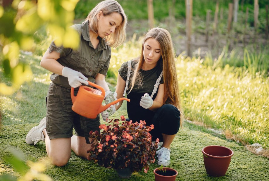 Kertápolás kezdőknek: Praktikus tanácsok, amelyek szebbé teszik a kerted 3 Kertápolás kezdőknek: Praktikus tanácsok, amelyek szebbé teszik a kerted
