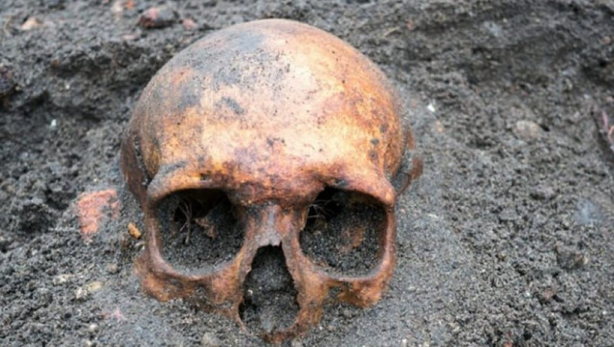 Két növény legyen a házban ősszel és télen 2 Két növény legyen a házban ősszel és télen