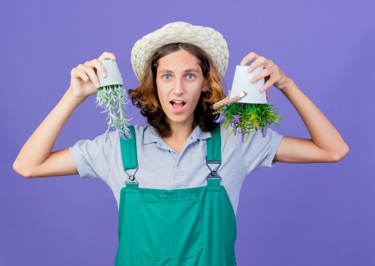 12 tipp, hogy a kerted mindig virágzó és egészséges legyen