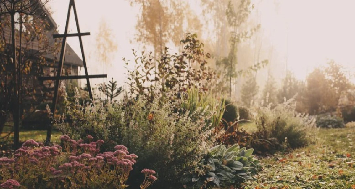 15 évelő növény, amit az első kemény fagy után érdemes takarni