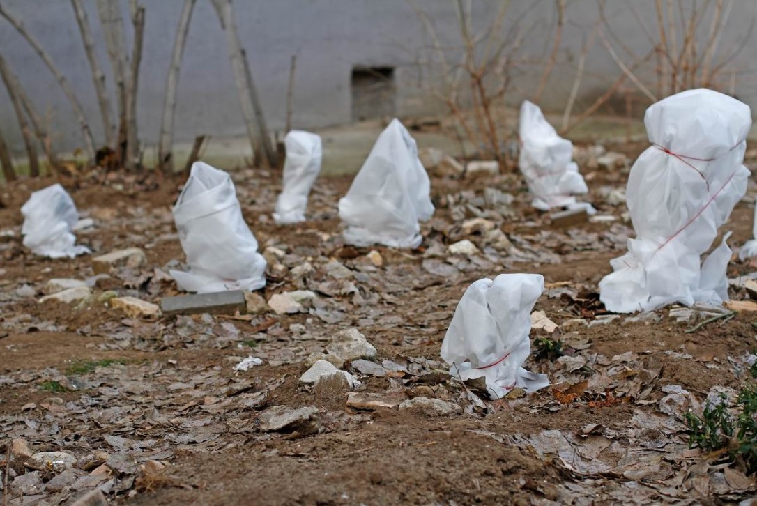 Emelés, Tisztítás, Tárolás: tárolási hőmérséklet és szabályozás 3 Emelés, Tisztítás, Tárolás: tárolási hőmérséklet és szabályozás