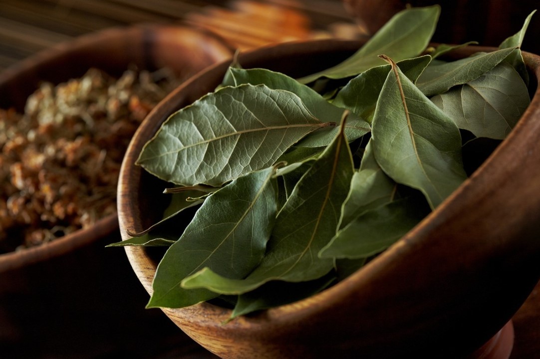 Babérlevél a hálószoba ajtaján: miért érdemes lógatni? 3 Babérlevél a hálószoba ajtaján: miért érdemes lógatni?