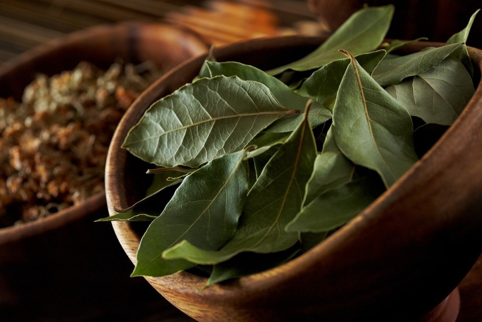 Miért akasztanak babérlevelet a hálószoba vagy a bejárati ajtóra? Ősi jelentés, amely ma is él 3 Miért akasztanak babérlevelet a hálószoba vagy a bejárati ajtóra? Ősi jelentés, amely ma is él