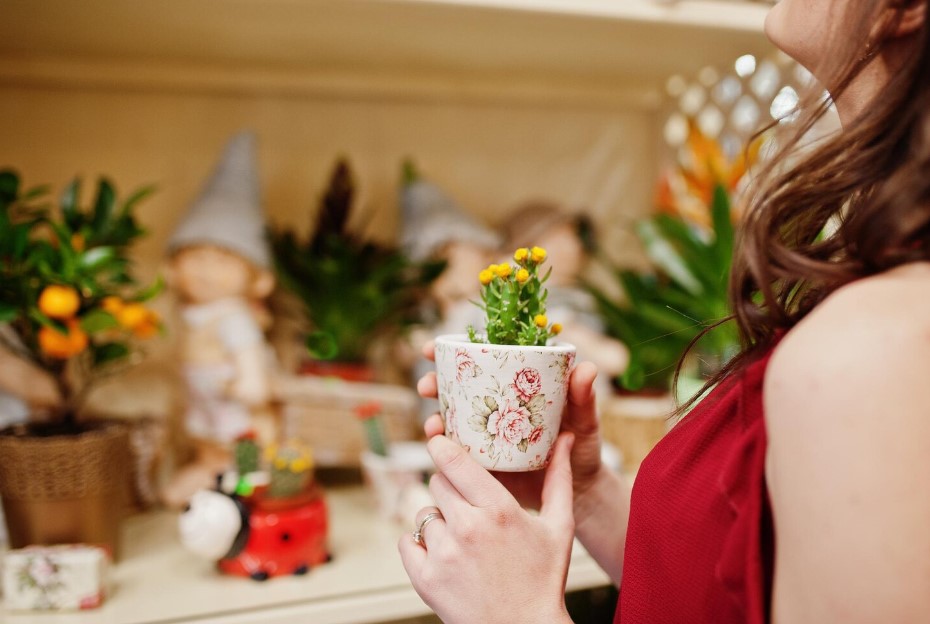 Balkon- és kertcsodák: így virágozzon a kerted egész évben 4 Balkon- és kertcsodák: így virágozzon a kerted egész évben