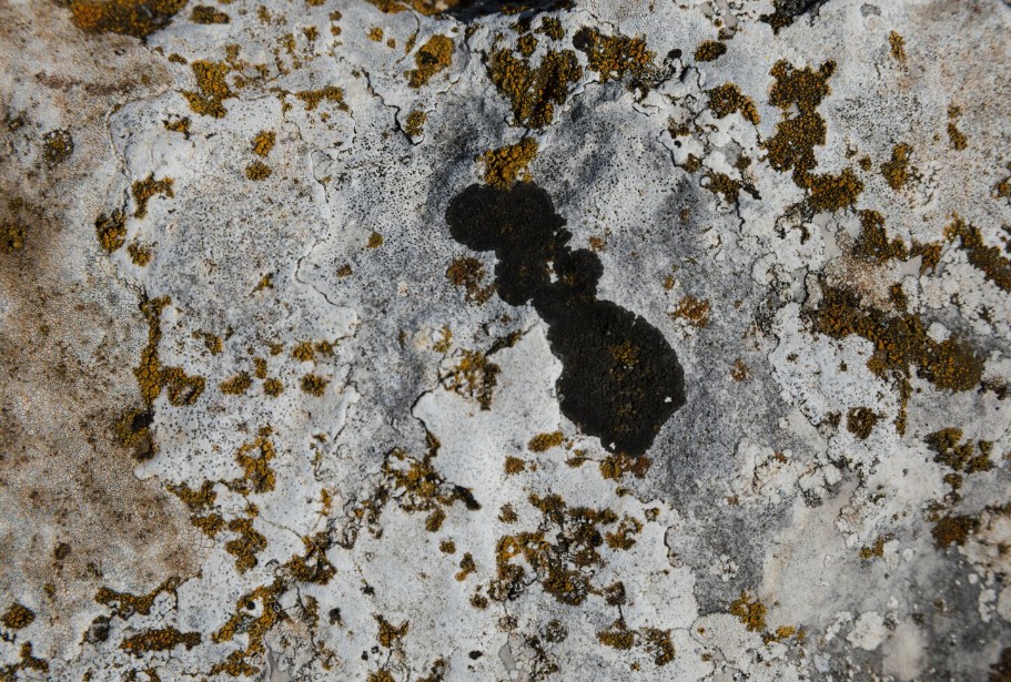 A penész titokban él a lakásodban télen – de ez az egyszerű otthoni módszer végleg megszünteti a problémát 3 A penész titokban él a lakásodban télen – de ez az egyszerű otthoni módszer végleg megszünteti a problémát