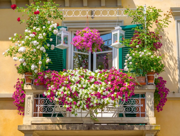 Városi zöld oázis a saját erkélyeden: 5 okos trükk, amit most azonnal kipróbálhatsz 3 Városi zöld oázis a saját erkélyeden: 5 okos trükk, amit most azonnal kipróbálhatsz