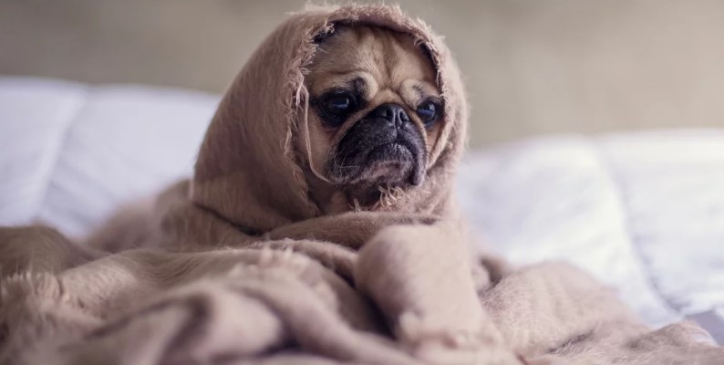 Nyolc ok, amiért állandóan fáradtnak érzi magát 3 Nyolc ok, amiért állandóan fáradtnak érzi magát