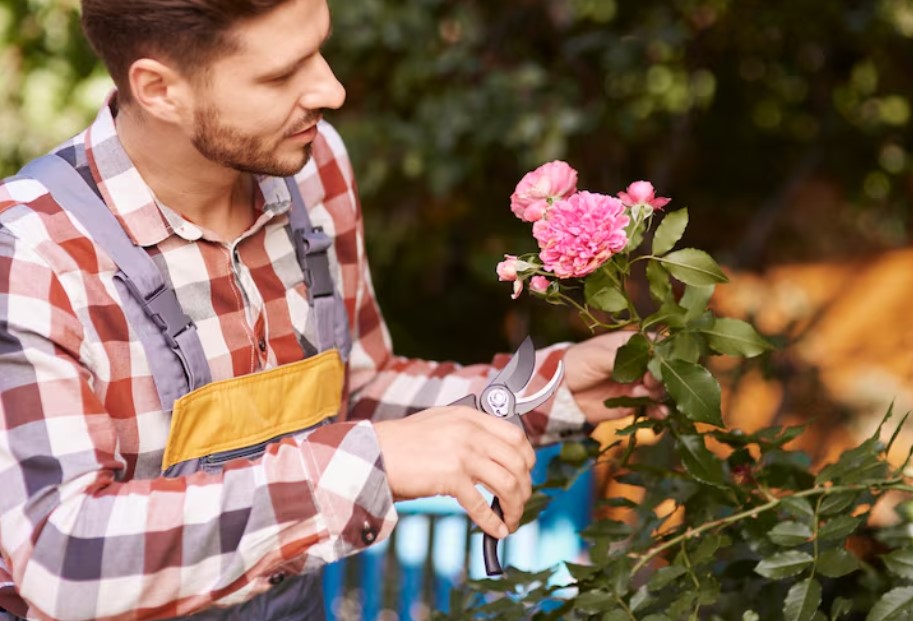 Soha nem gondoltad volna: így lesz a kerted mindig virágzó! 4 Soha nem gondoltad volna: így lesz a kerted mindig virágzó!