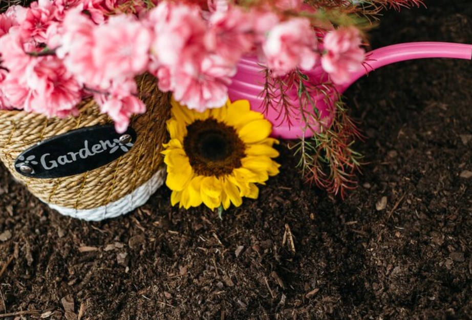 Titkos kerttrükkök: így virágoznak a növényeid egész évben 4 Titkos kerttrükkök: így virágoznak a növényeid egész évben