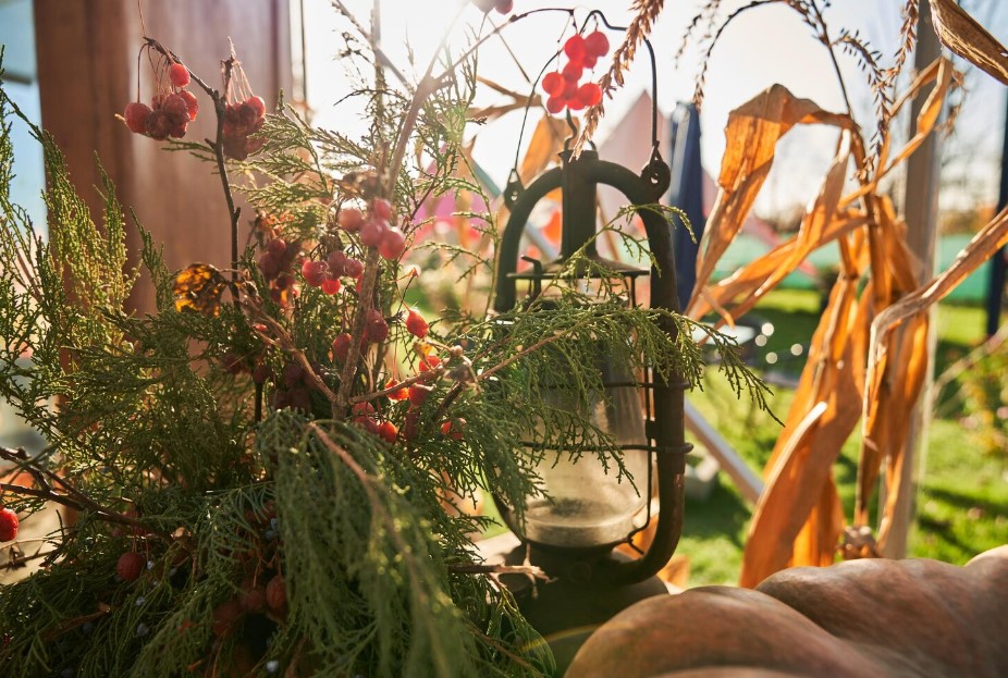 Balkon- és kertcsodák: így virágozzon a kerted egész évben 3 Balkon- és kertcsodák: így virágozzon a kerted egész évben