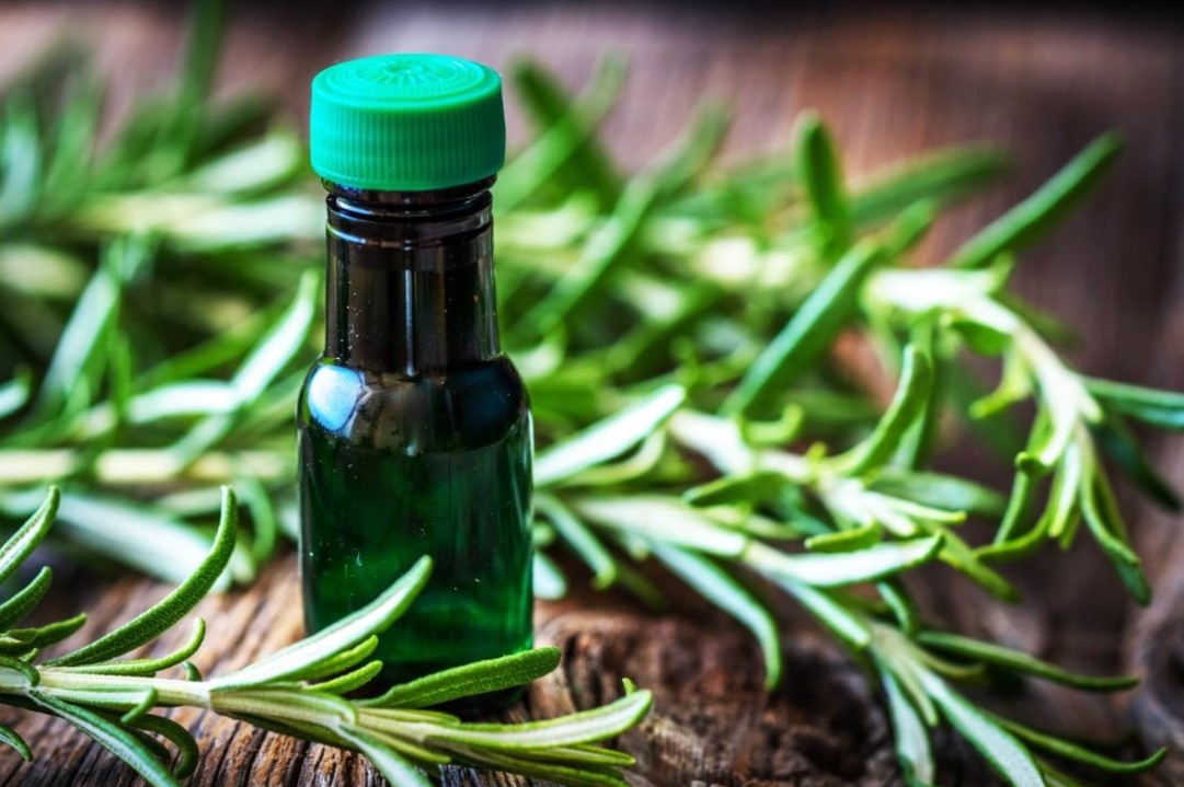 Rozmaringvíz a hajhoz: miért hasznos használni és mire használják