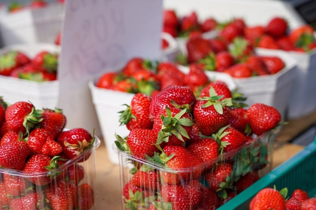 Ha az epret ilyen módon tárolják a hűtőszekrényben, akkor 15 napig frissek maradnak, és nem borulnak penészgombával