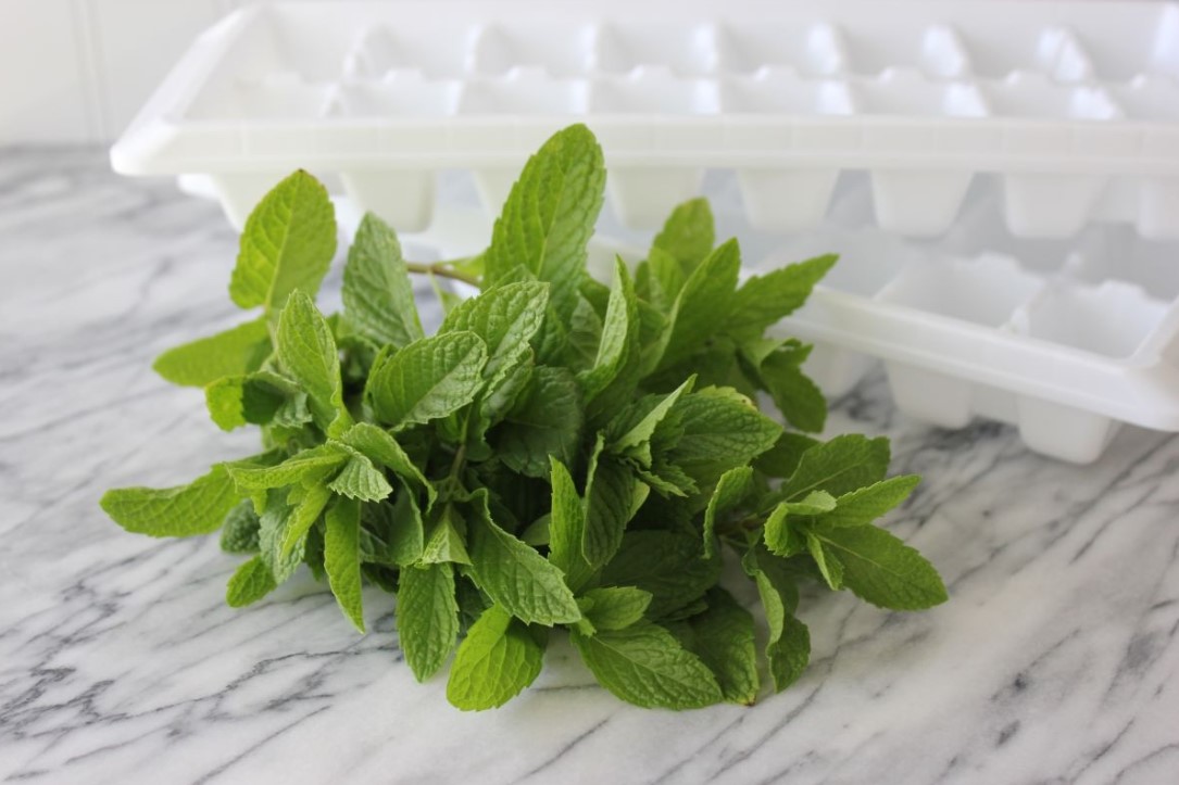 Hol helyezze el a mentát, hogy pénzt vonzzon a Feng Shui szerint 4 Hol helyezze el a mentát, hogy pénzt vonzzon a Feng Shui szerint