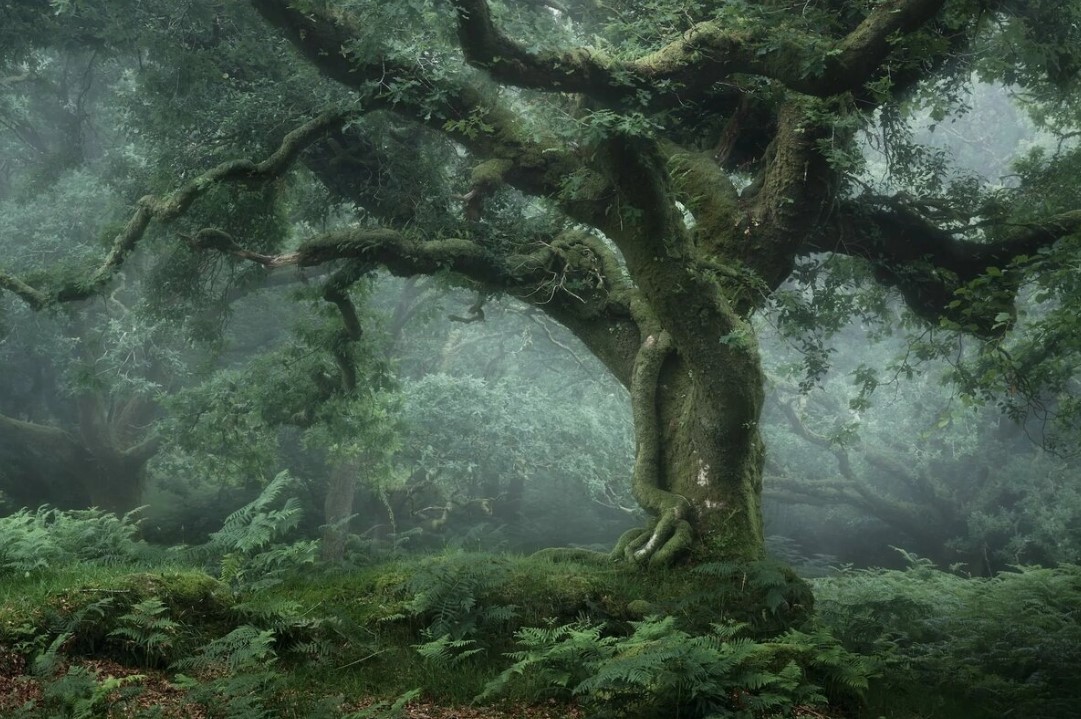 Hogyan tartották fenn a növények a légkör stabilitását 20 000 évvel ezelőtt