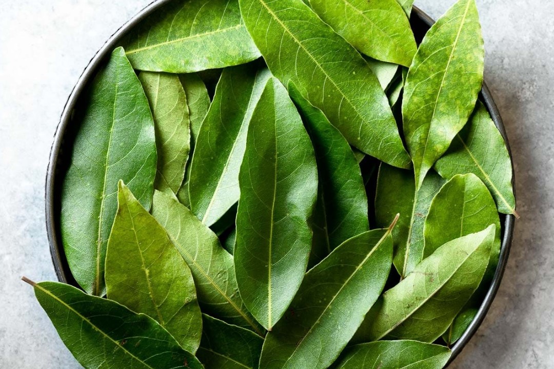 Miért lógass babérlevelet az ajtóra? A hagyomány és a pozitív energia ereje 4 Miért lógass babérlevelet az ajtóra? A hagyomány és a pozitív energia ereje