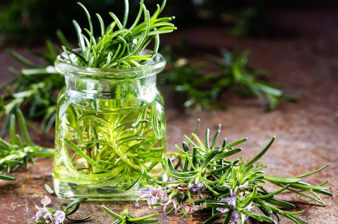 Hogyan készítsünk házi rozmaring spray-t a korpásodás megelőzésére 4 Hogyan készítsünk házi rozmaring spray-t a korpásodás megelőzésére