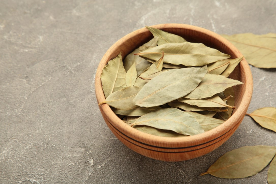 Babérlevél a hálószoba ajtaján: miért érdemes lógatni? 4 Babérlevél a hálószoba ajtaján: miért érdemes lógatni?