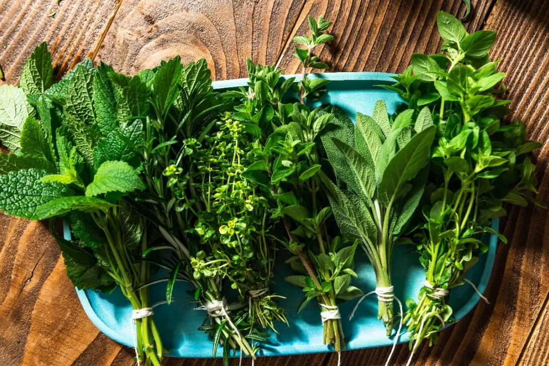 Tedd a radiátorra, és nyugodj meg: egyszerű, természetes módszer a stressz csökkentésére 4 Tedd a radiátorra, és nyugodj meg: egyszerű, természetes módszer a stressz csökkentésére