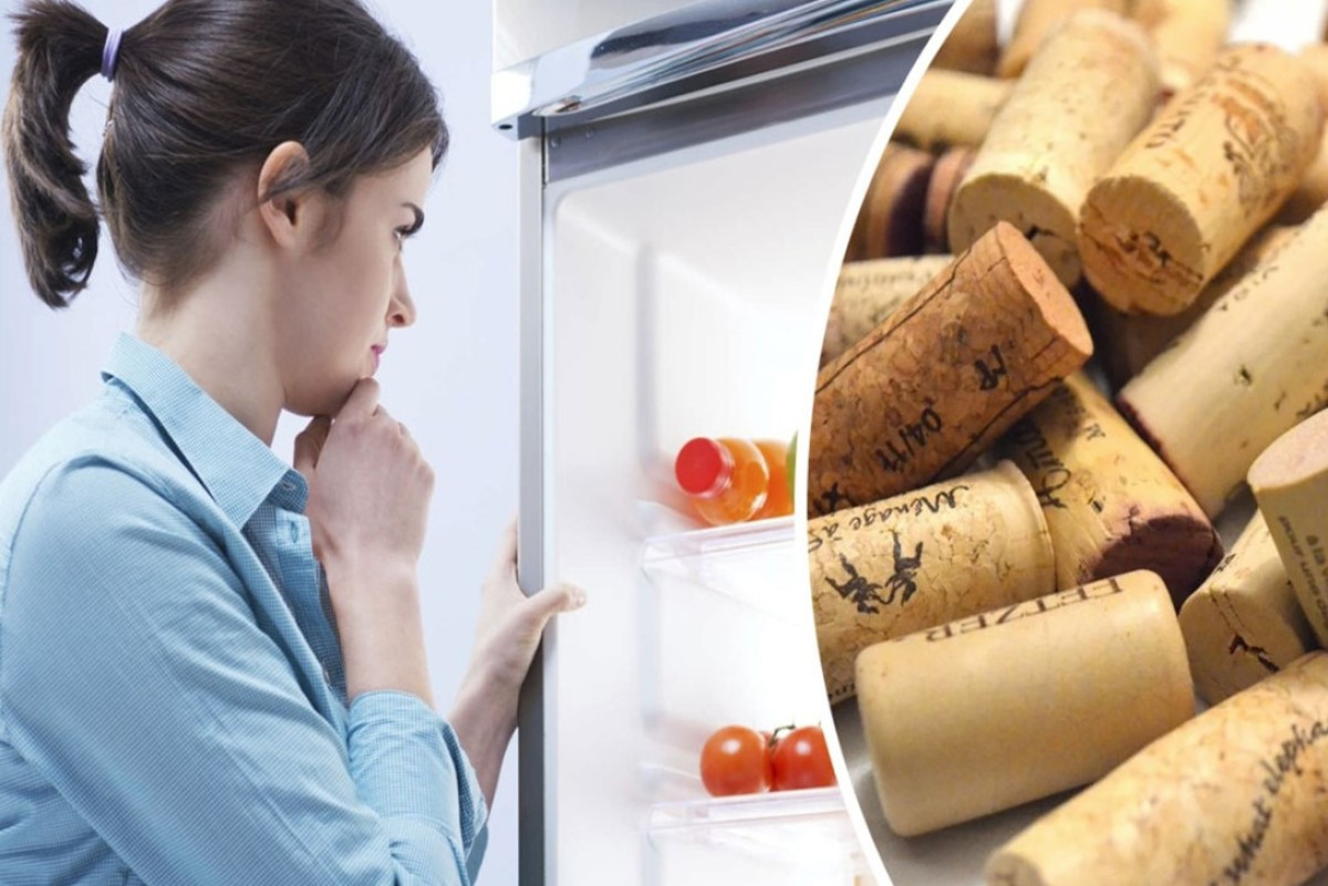 A hűtőszekrény dugóval történő csatlakoztatása: miért ajánlott és miért van szükség