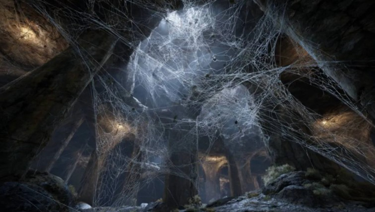 A kutatók 110 000 pókot és a világ legnagyobb pókhálóját fedezték fel a barlangban 2 A kutatók 110 000 pókot és a világ legnagyobb pókhálóját fedezték fel a barlangban