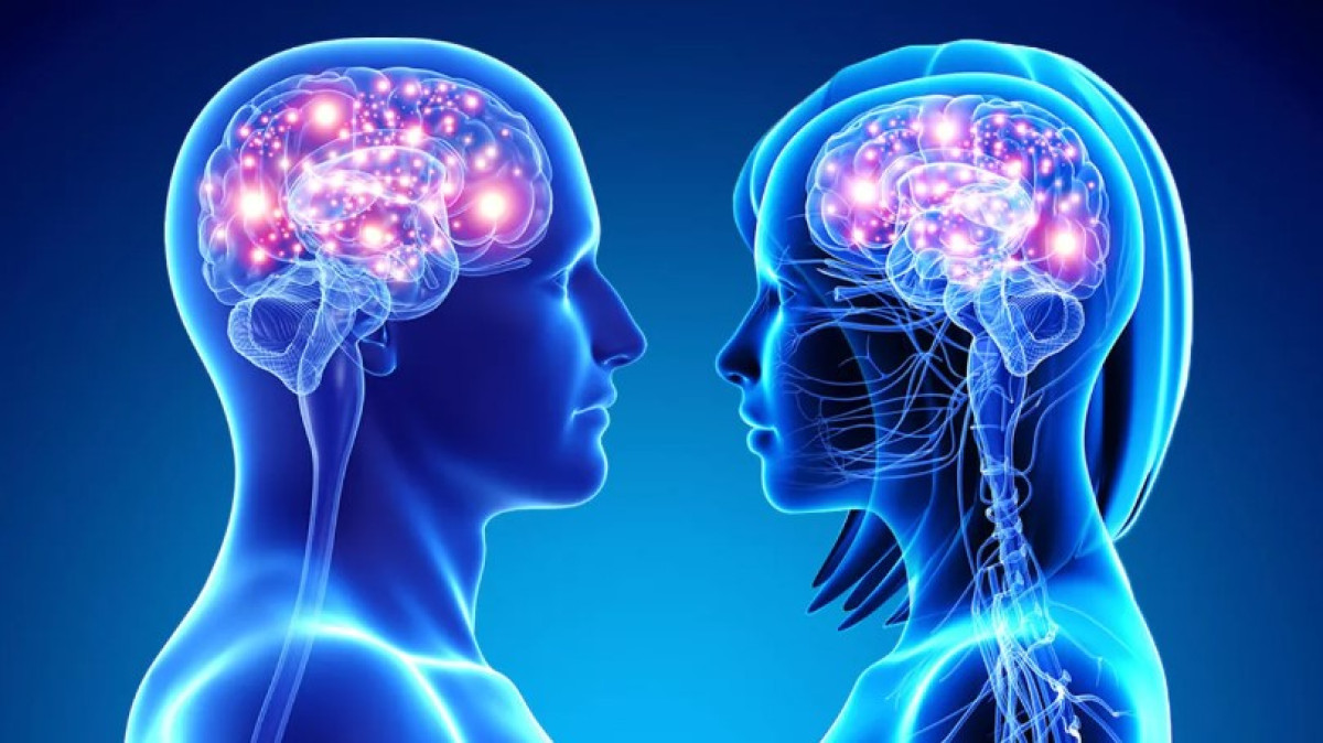 Az, hogy mennyire türelmes vagy, a test boldogsághormonjaitól is függ 2 Az, hogy mennyire türelmes vagy, a test boldogsághormonjaitól is függ