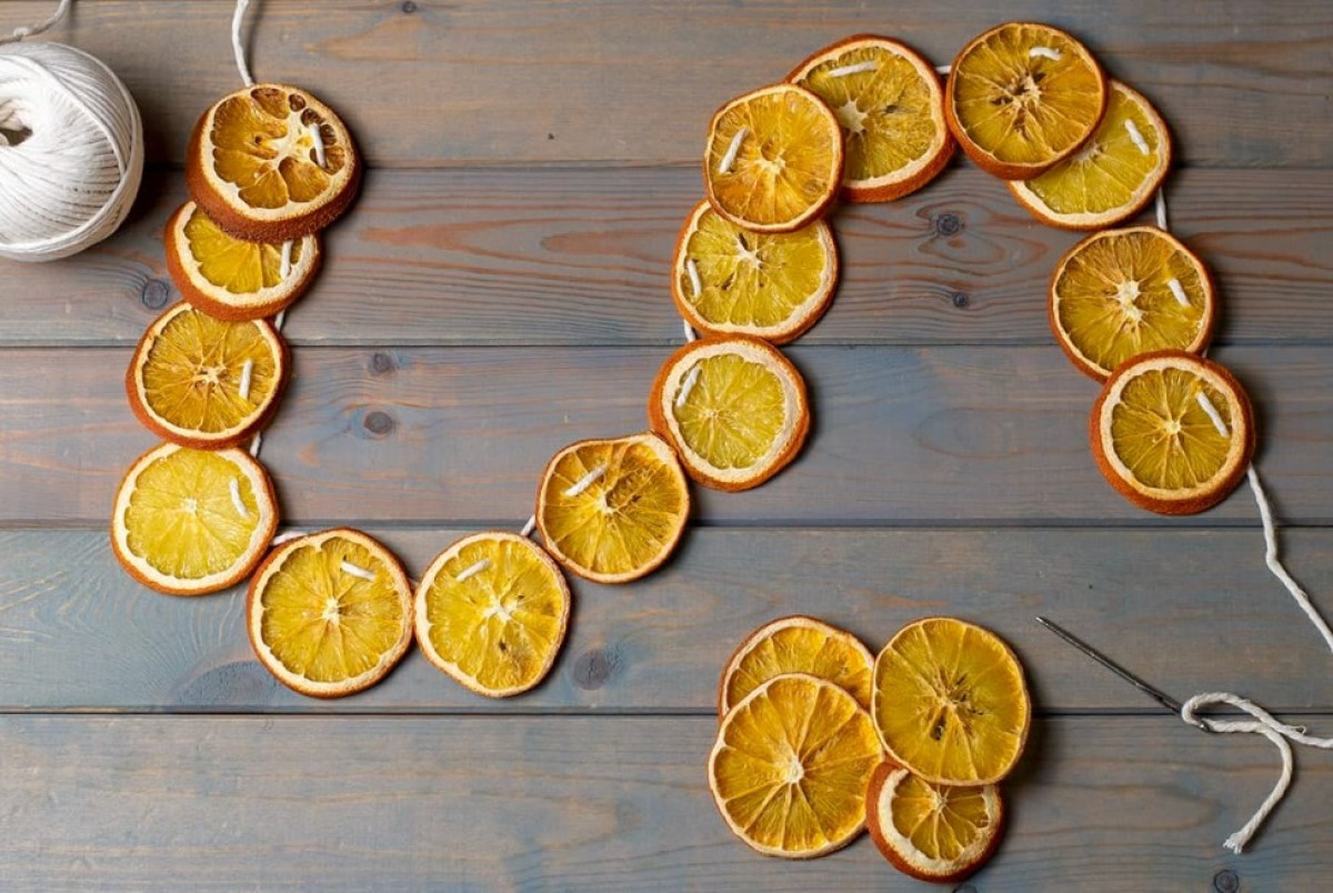 Citromhéj az erkélyen: Miért érdemes felakasztani?