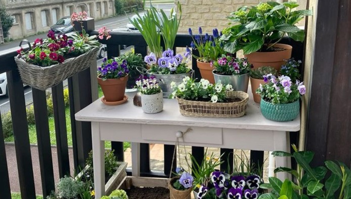 Ha nem metszi ezeket a növényeket tél előtt, akkor el lehet dobni őket