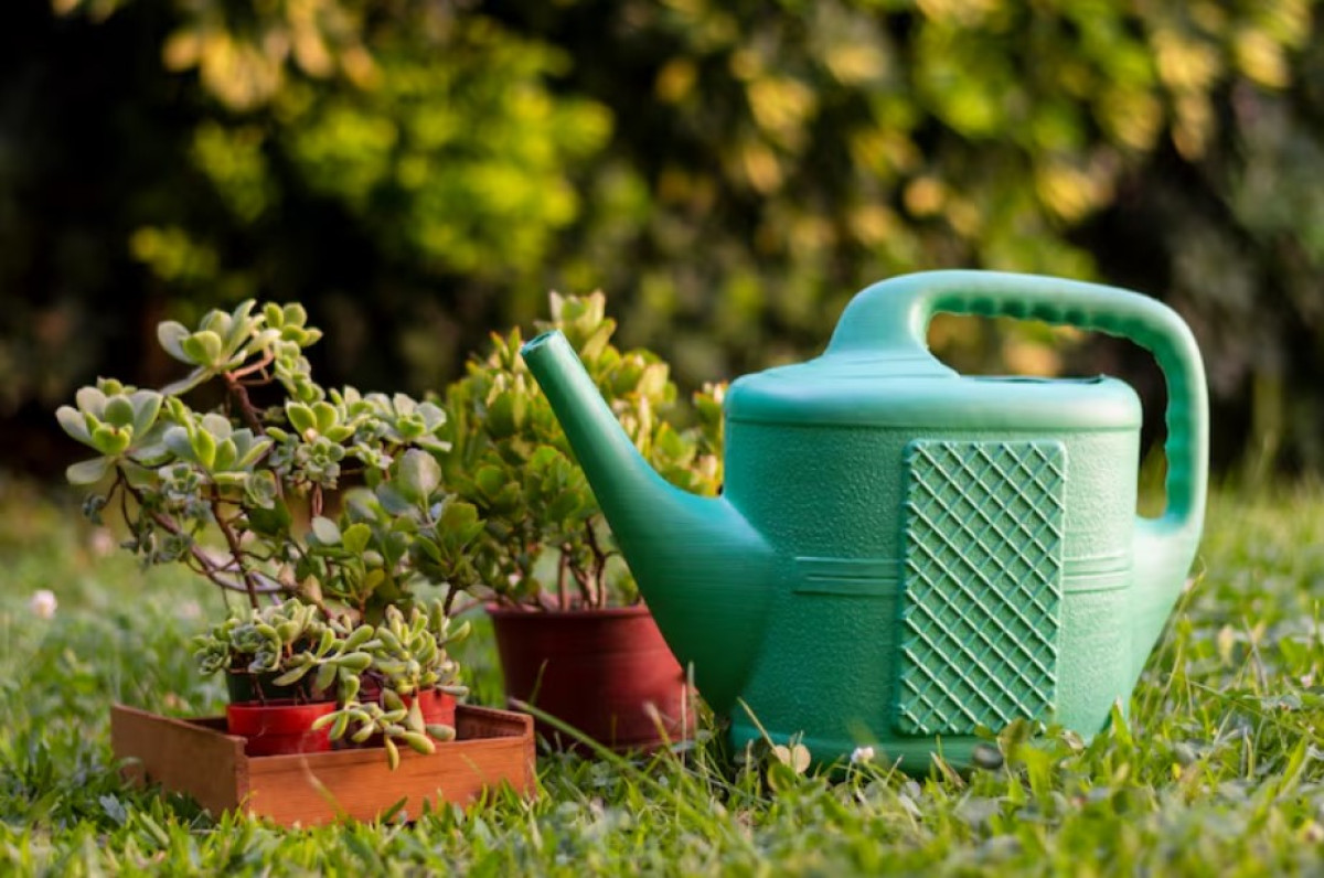 Hogyan varázsolhatunk gyorsan színes és egészséges kertet: 5 praktikus tipp kezdőknek és haladóknak