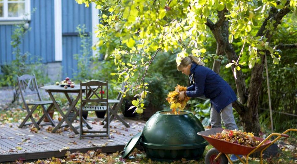 Hol kell ártalmatlanítani a kerti hulladékot? Itt van, hogyan kell csinálni. - 1